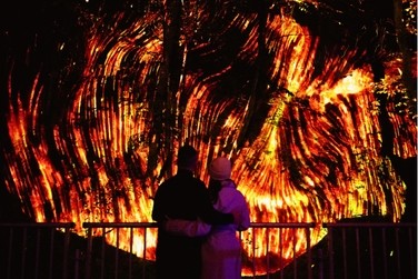 Enchanted Forest of Pitlochry