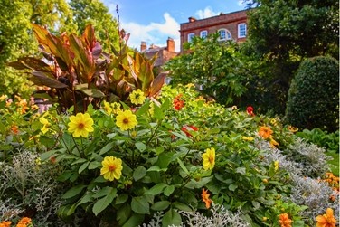 Grand Houses & Glorious Gardens of Norfolk.