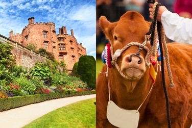 The Royal Welsh Show & Magical Mid Wales