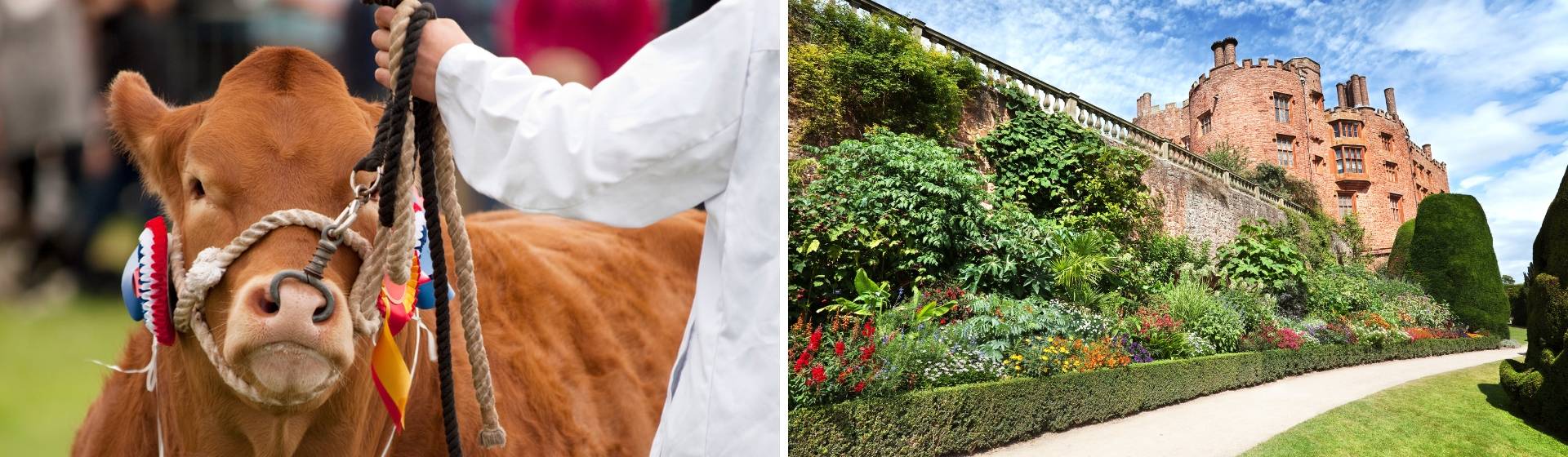 The Royal Welsh Show & Magical Mid Wales