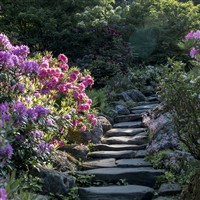 Images copyright National Trust