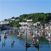 Cornwall Mistletoe and Wine