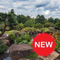 The Glorious Gardens of Surrey